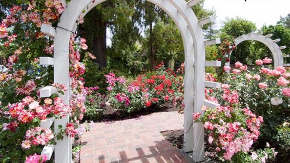 طراحی باغ آتلیه عروسی